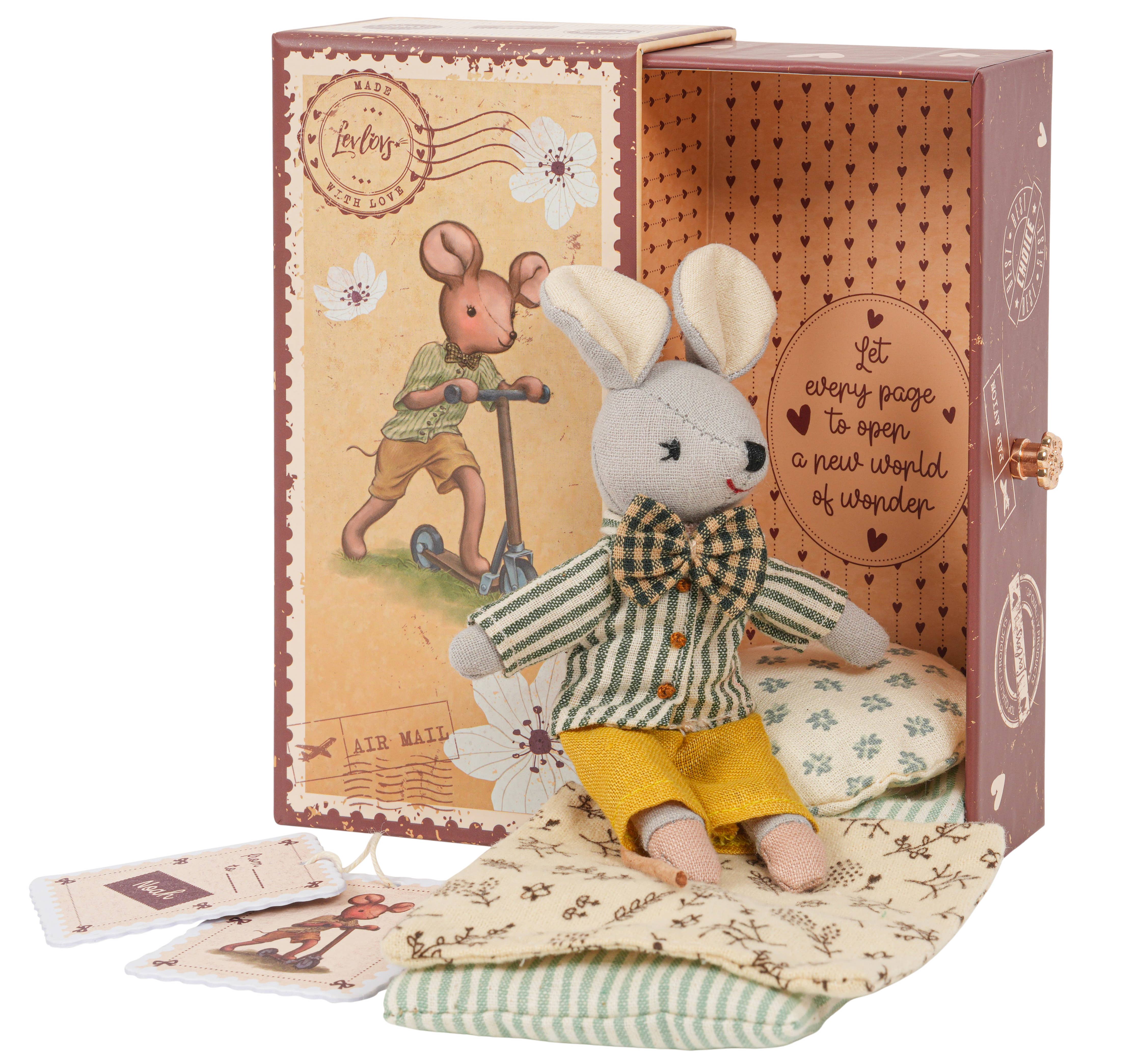 Levlovs Mouse Noah in a Box with Bedding