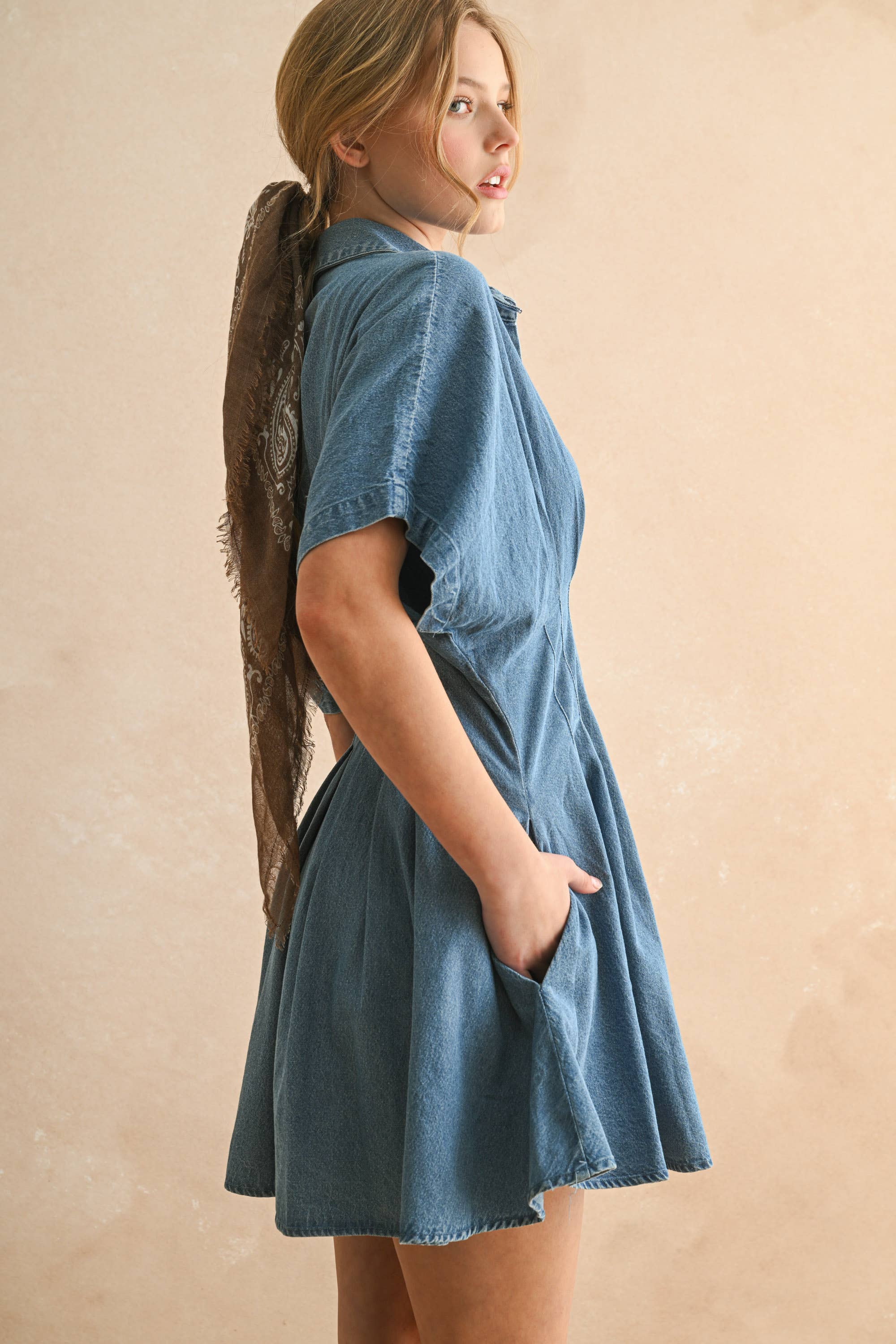 The Rachel Denim Button Down Dress