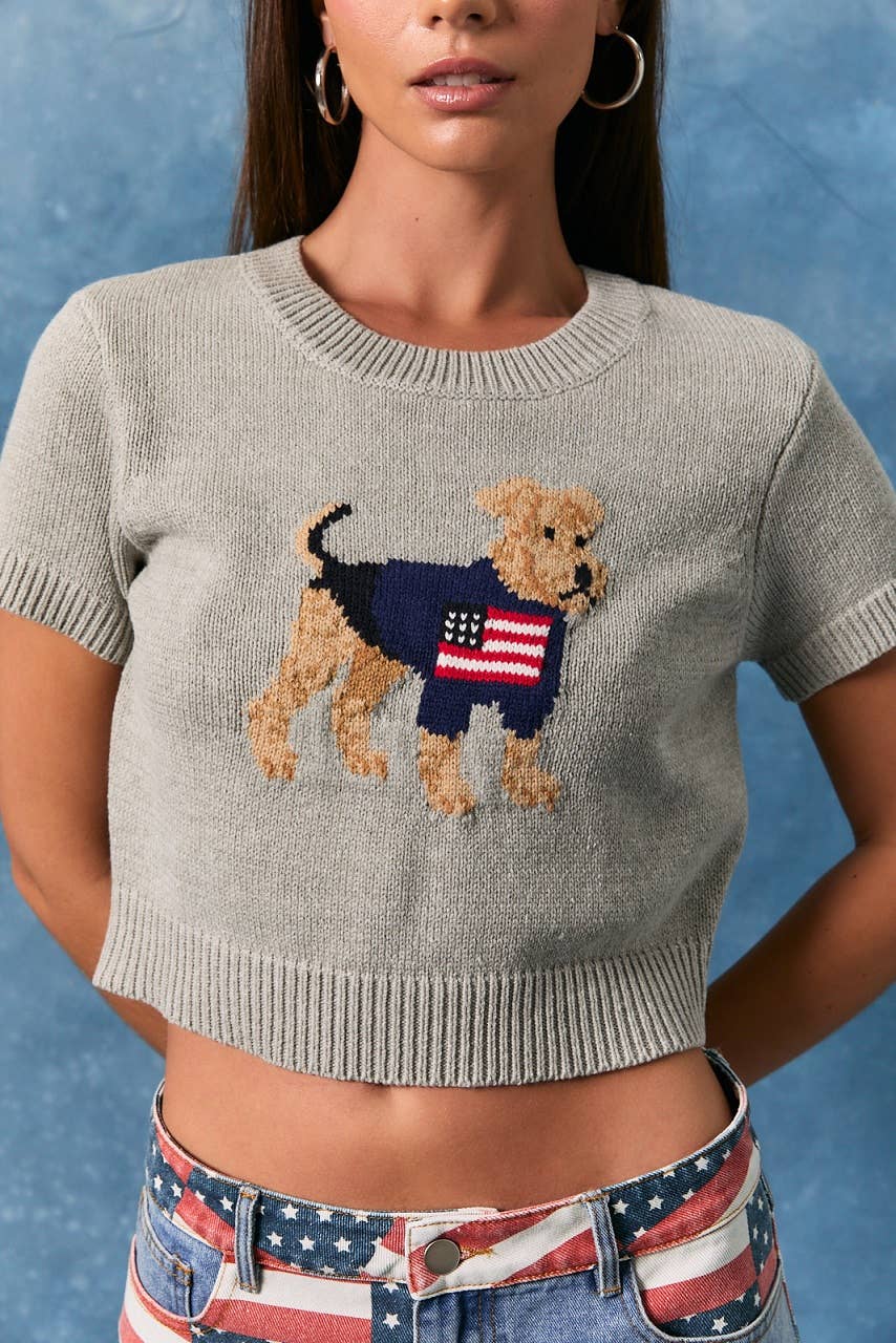 The American Dog Sweater Top
