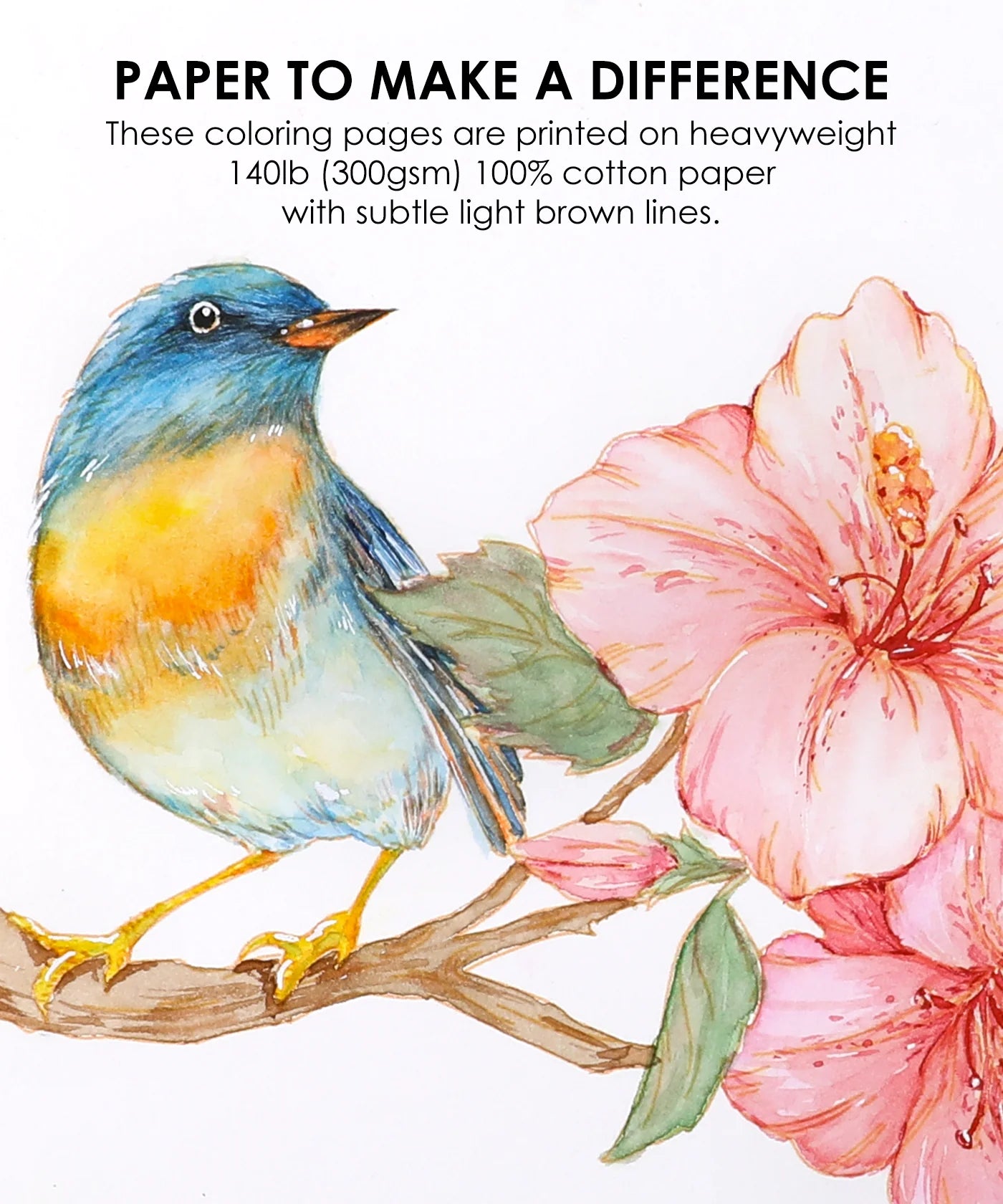 Themed Watercolor Coloring Club Box