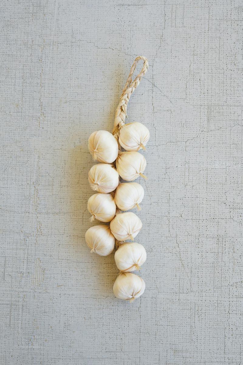String of Garlic