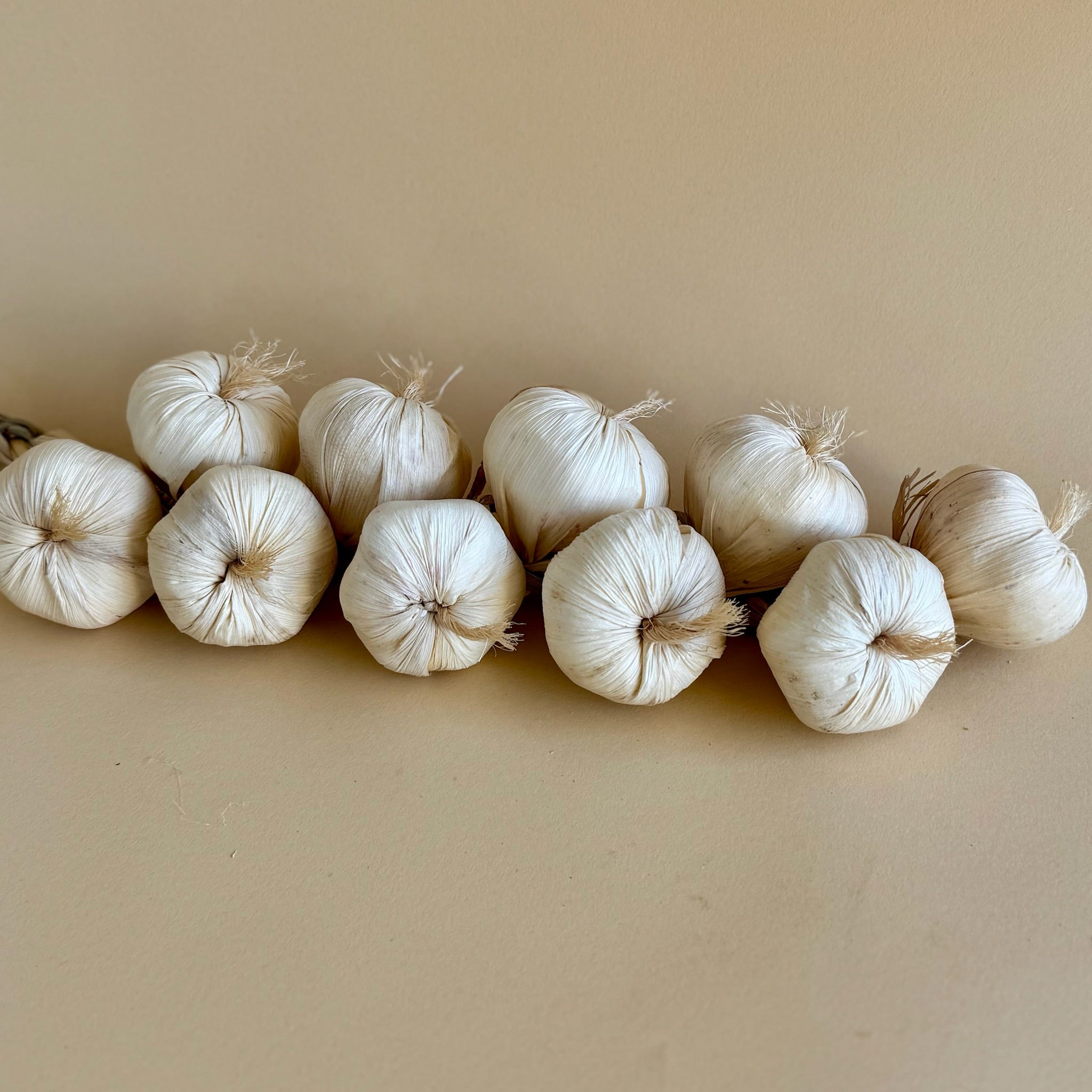 String of Garlic