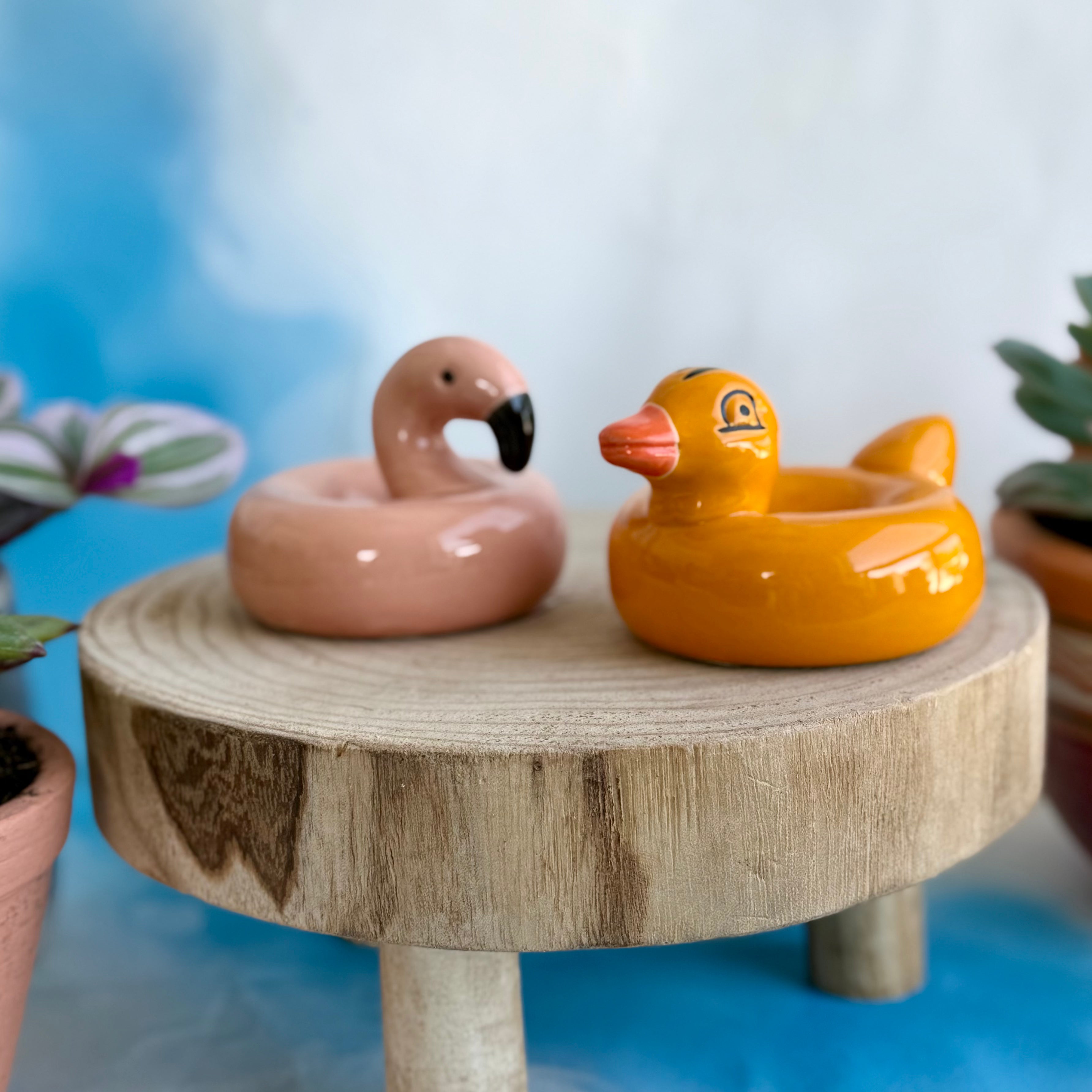 Floating Flamingo and Duck Pool Float