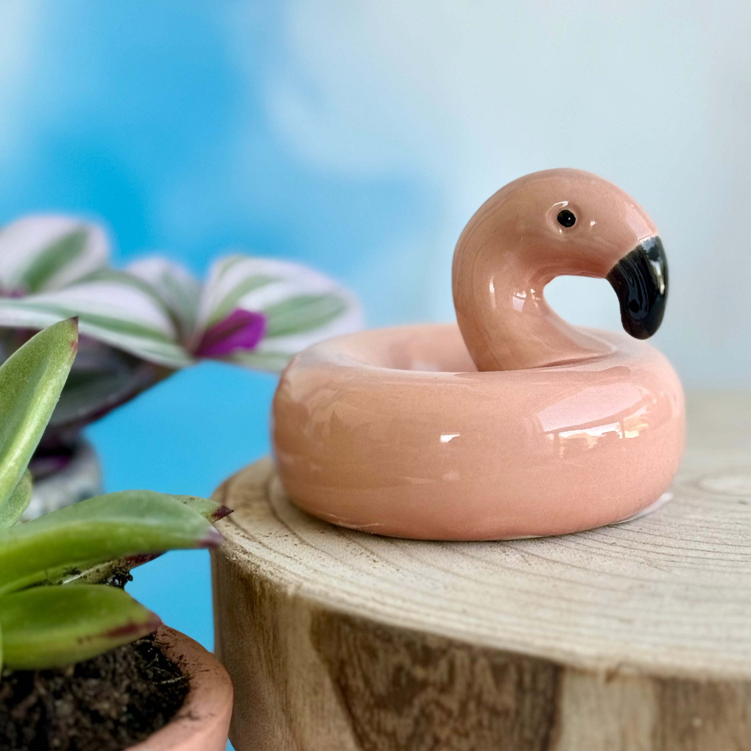Floating Flamingo and Duck Pool Float