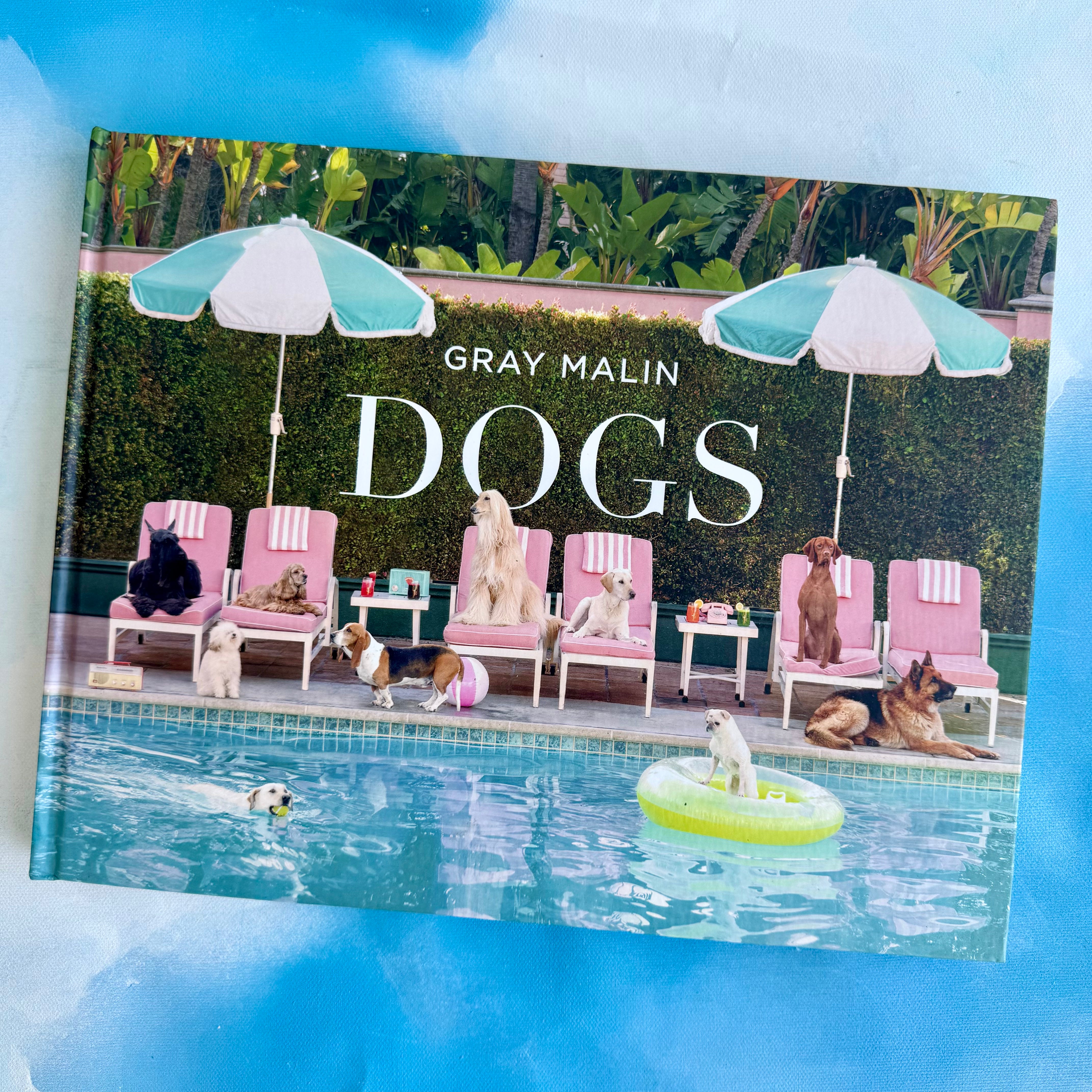Gray Malin: Dogs