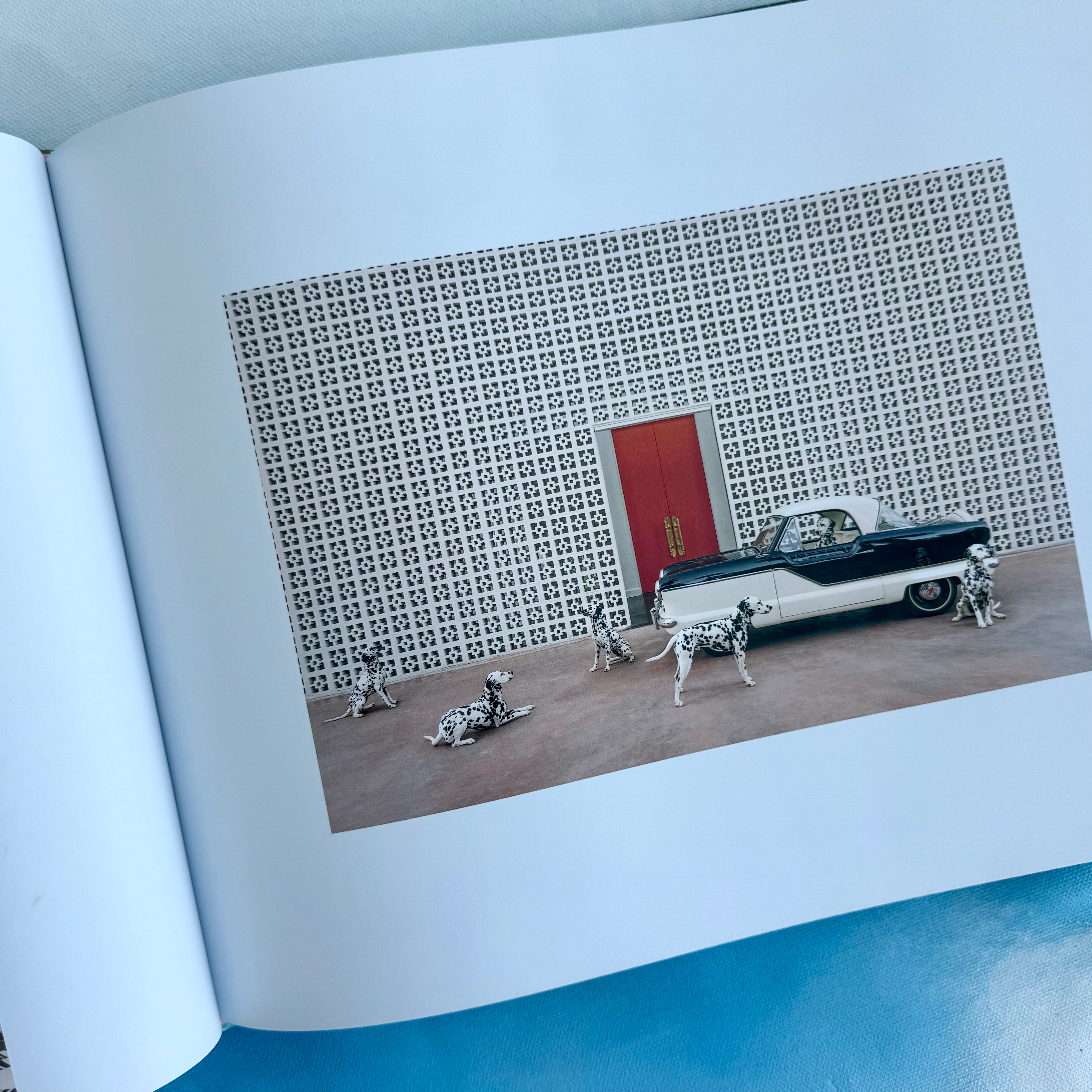 Gray Malin: Dogs
