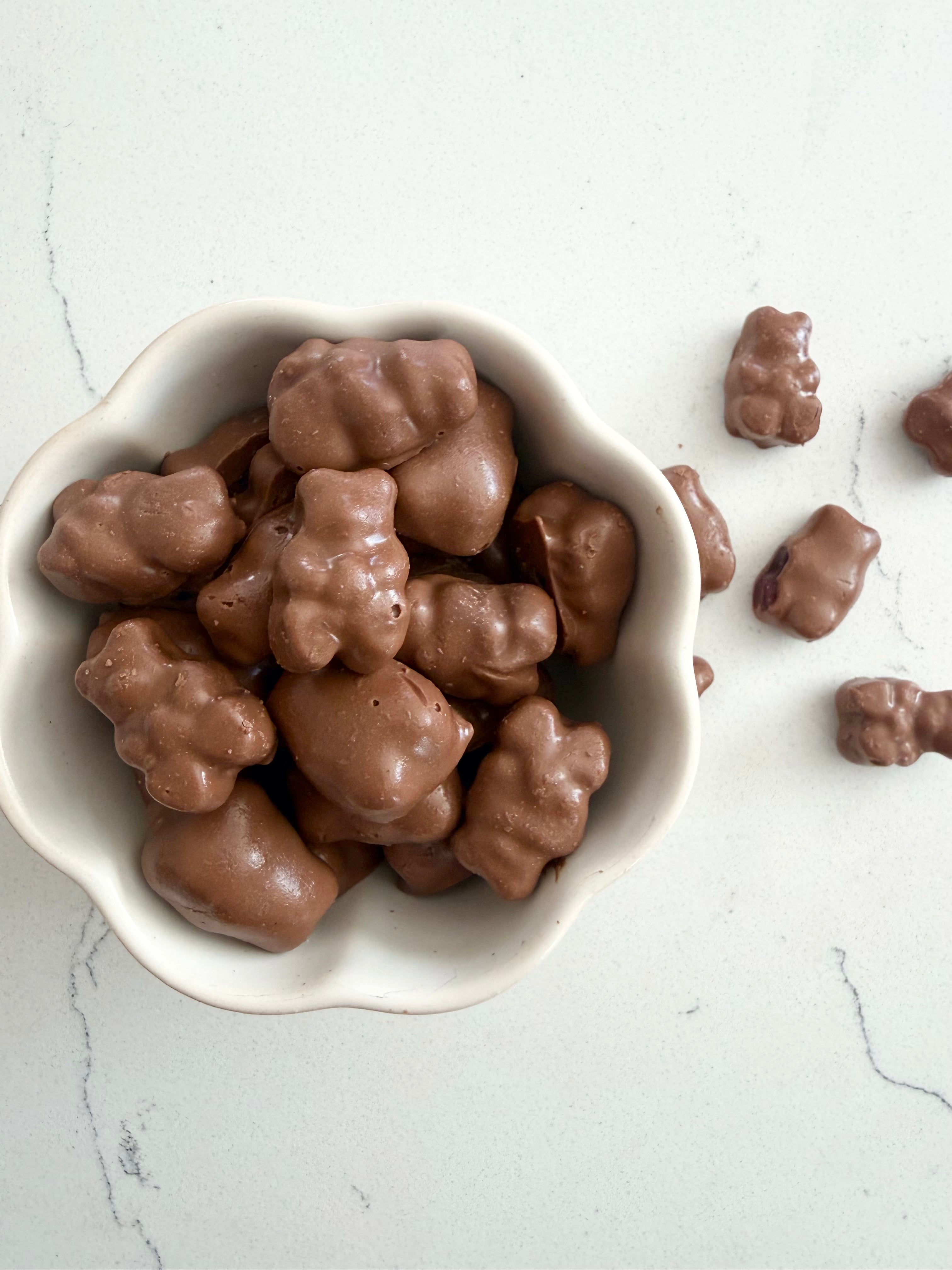 Chocolate Covered Gummi Bears