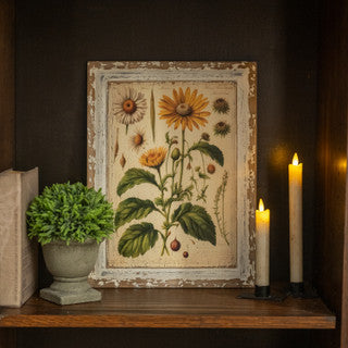 Yellow Daisy Botanical Print