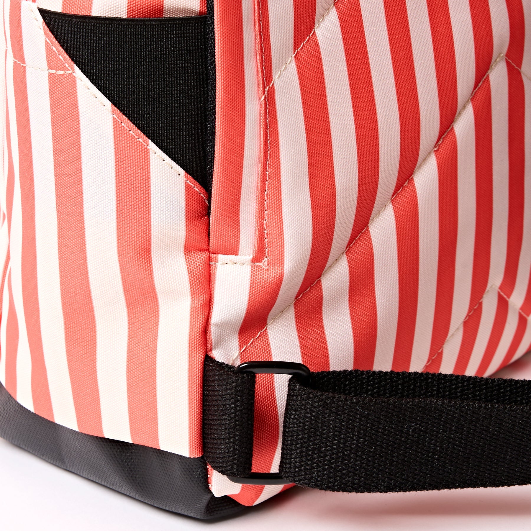 Canfield Roll Top Backpack