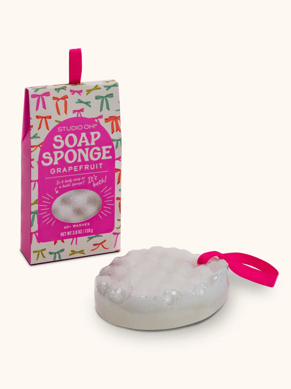 Soap Sponge