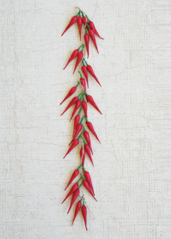 String of Red Peppers