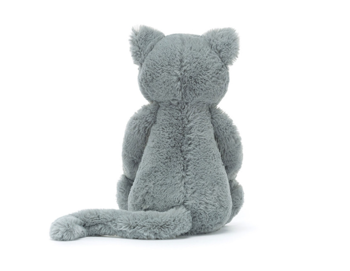 Bashful Kitten
