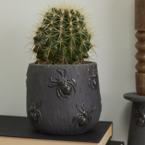 Cactus in a decorative pot with spider design on a stack of books