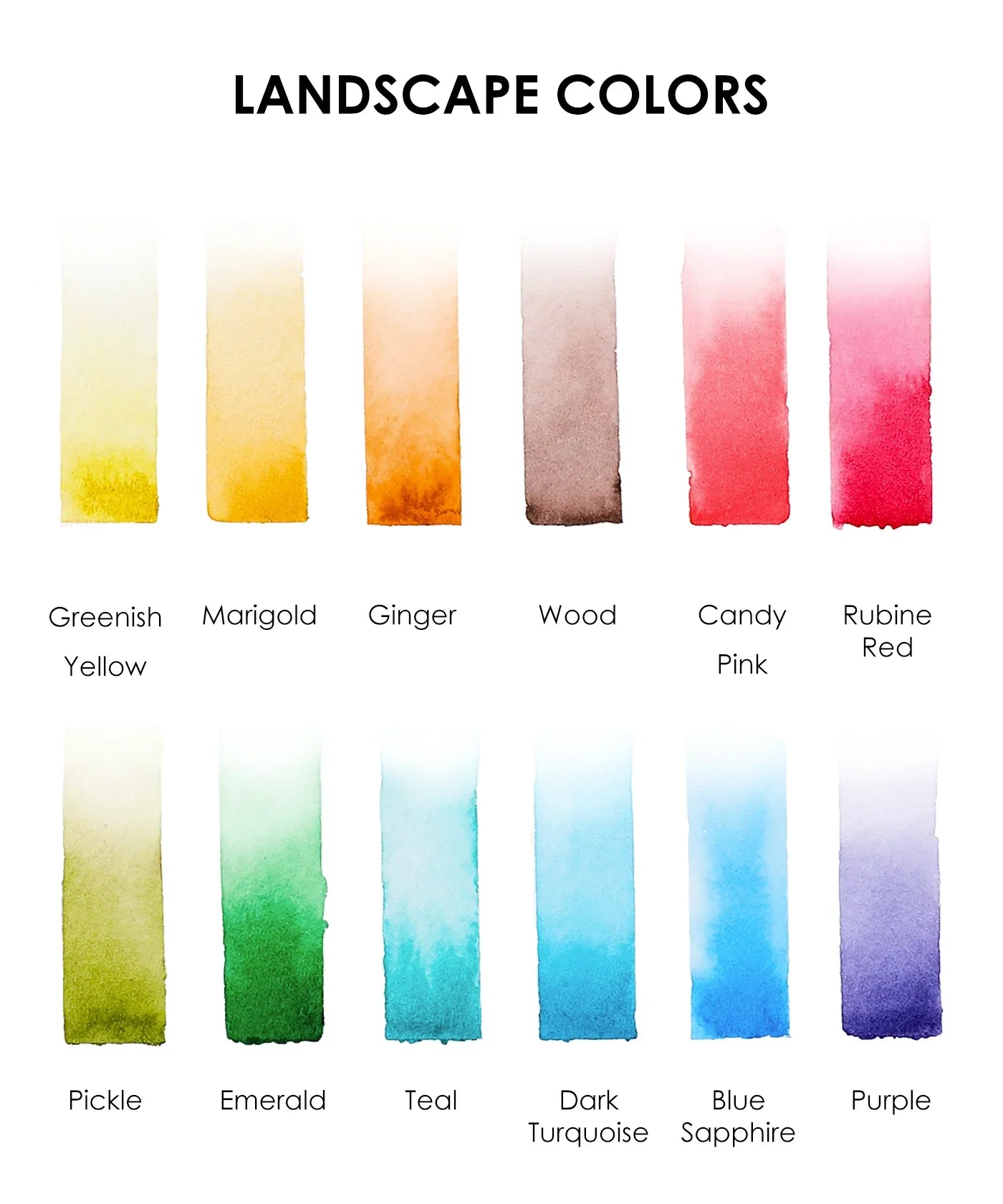 Themed Watercolor Coloring Club Box