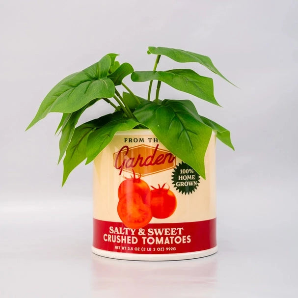 Can of salty and sweet crushed tomatoes with a plant growing out of it on a light gray background