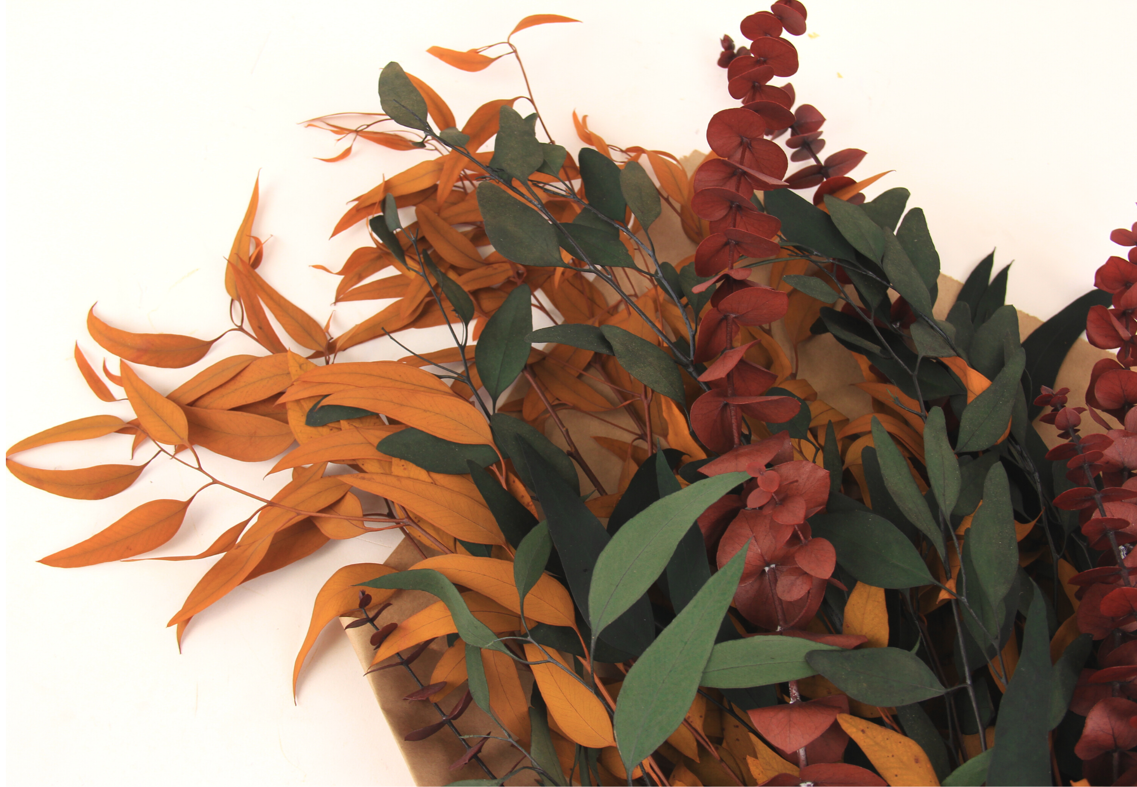 Autumn Eucalyptus Bundle
