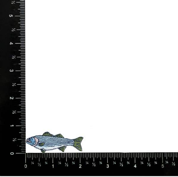Iron on Patch: Striped Bass Fish