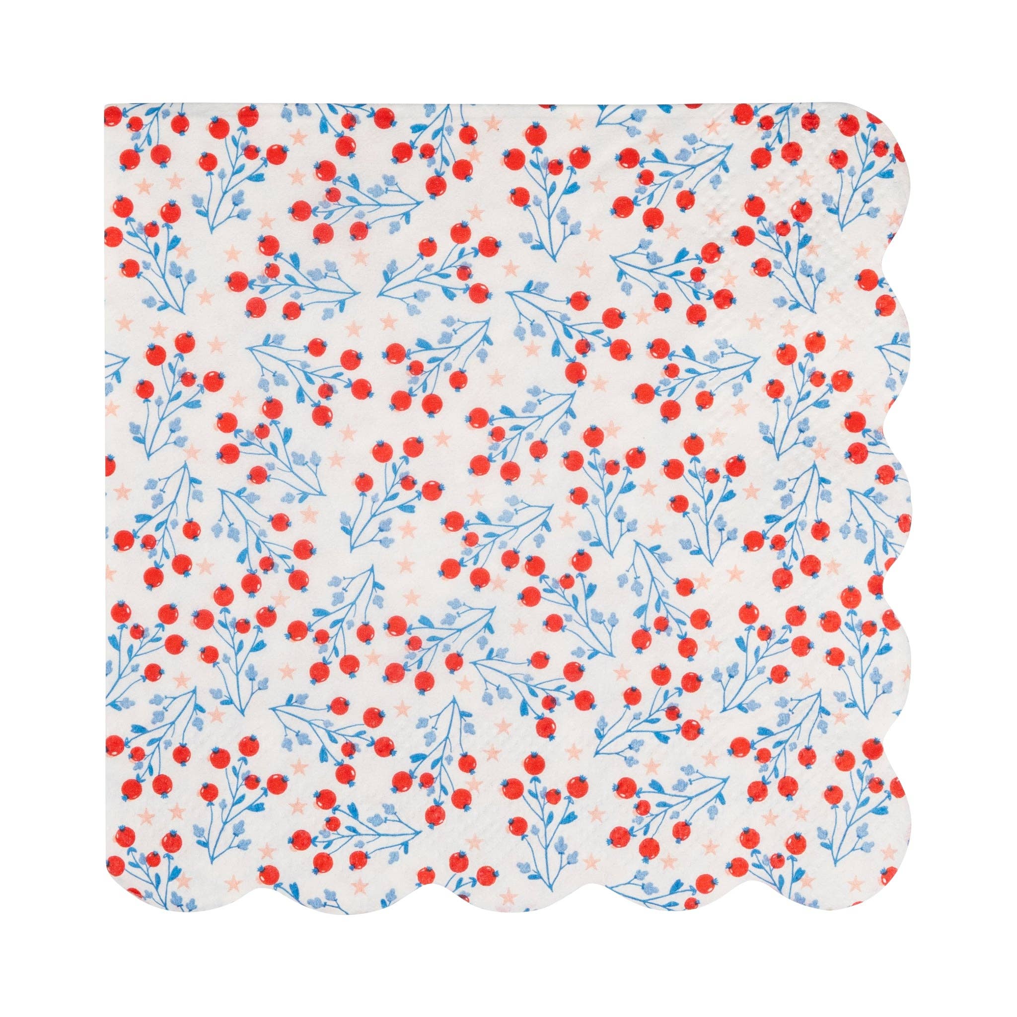 Floral Cocktail Paper Napkin Set