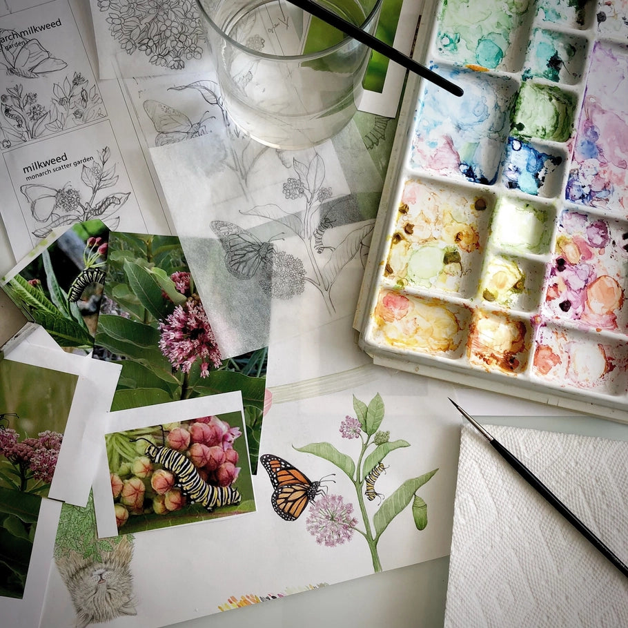 Scatter Garden - Monarch Milkweed & Flower Garden