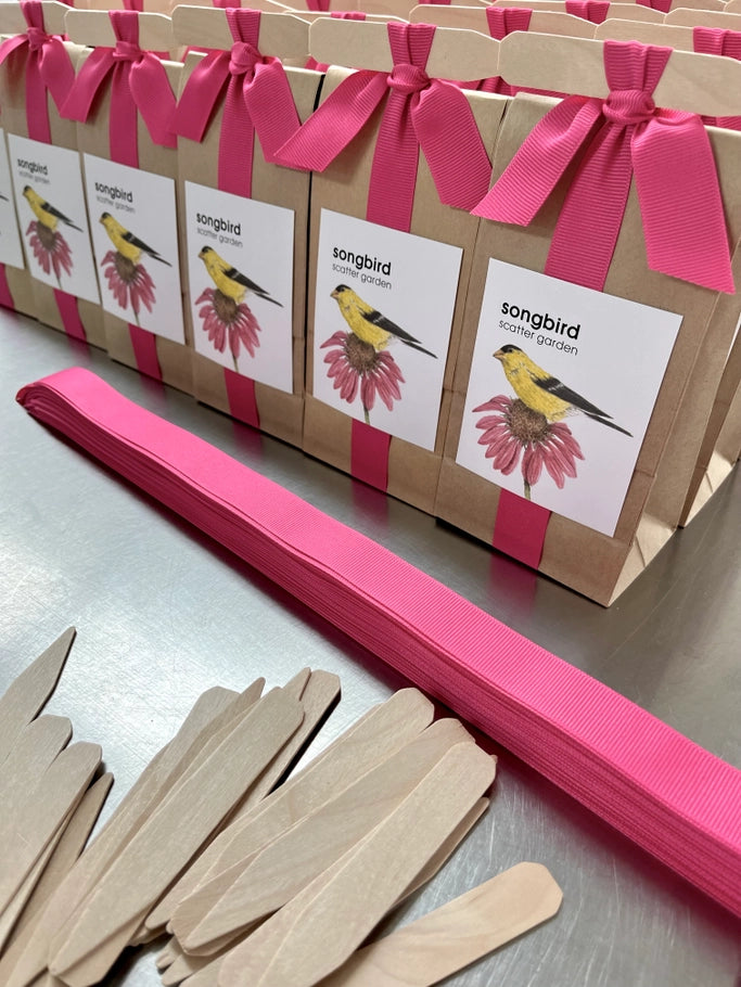 Scatter Garden - Songbird