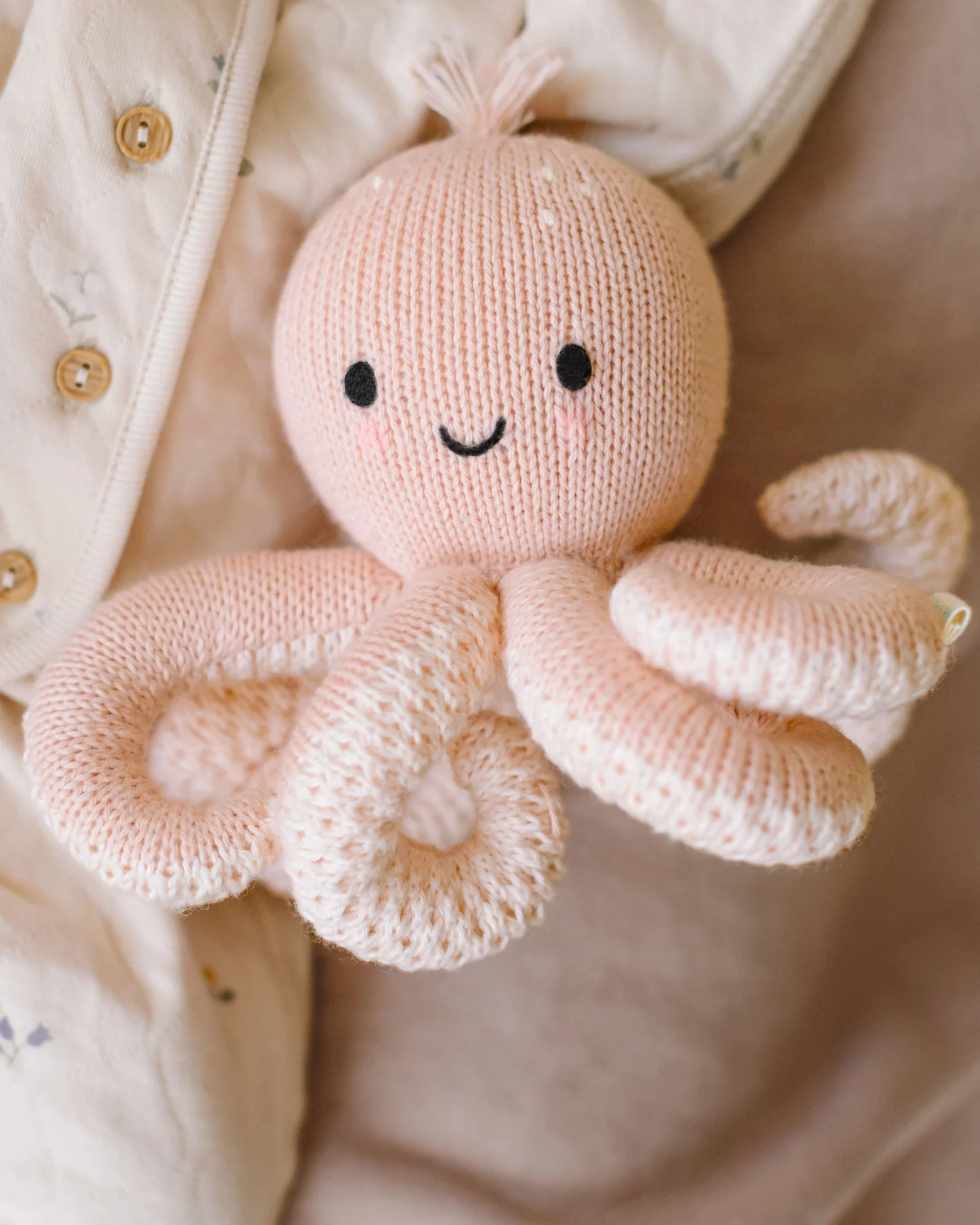 Baby Octopus