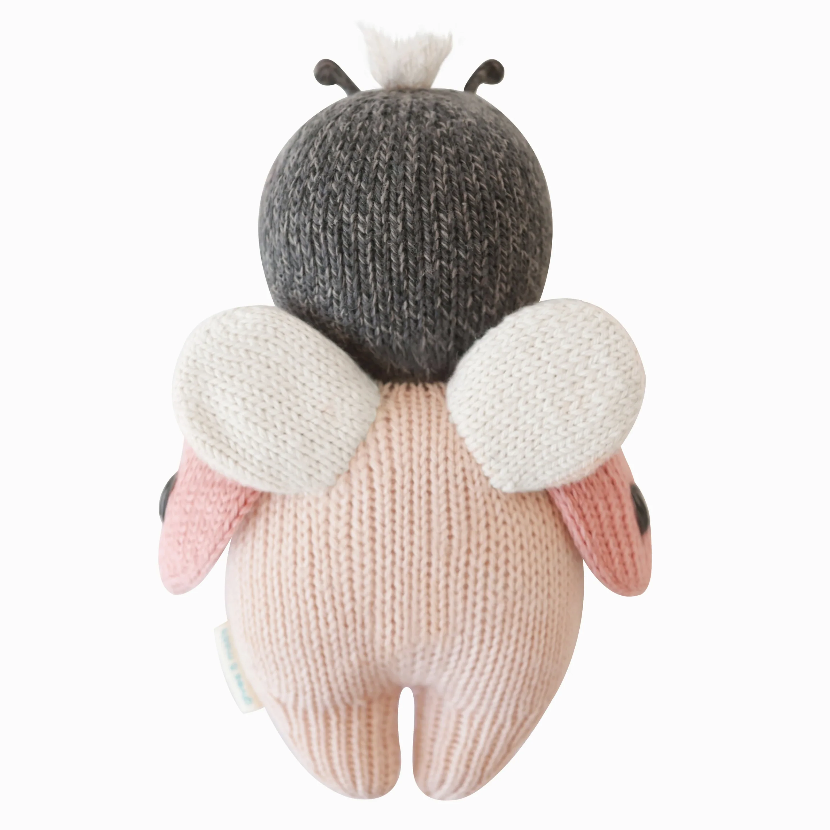 Baby Ladybug