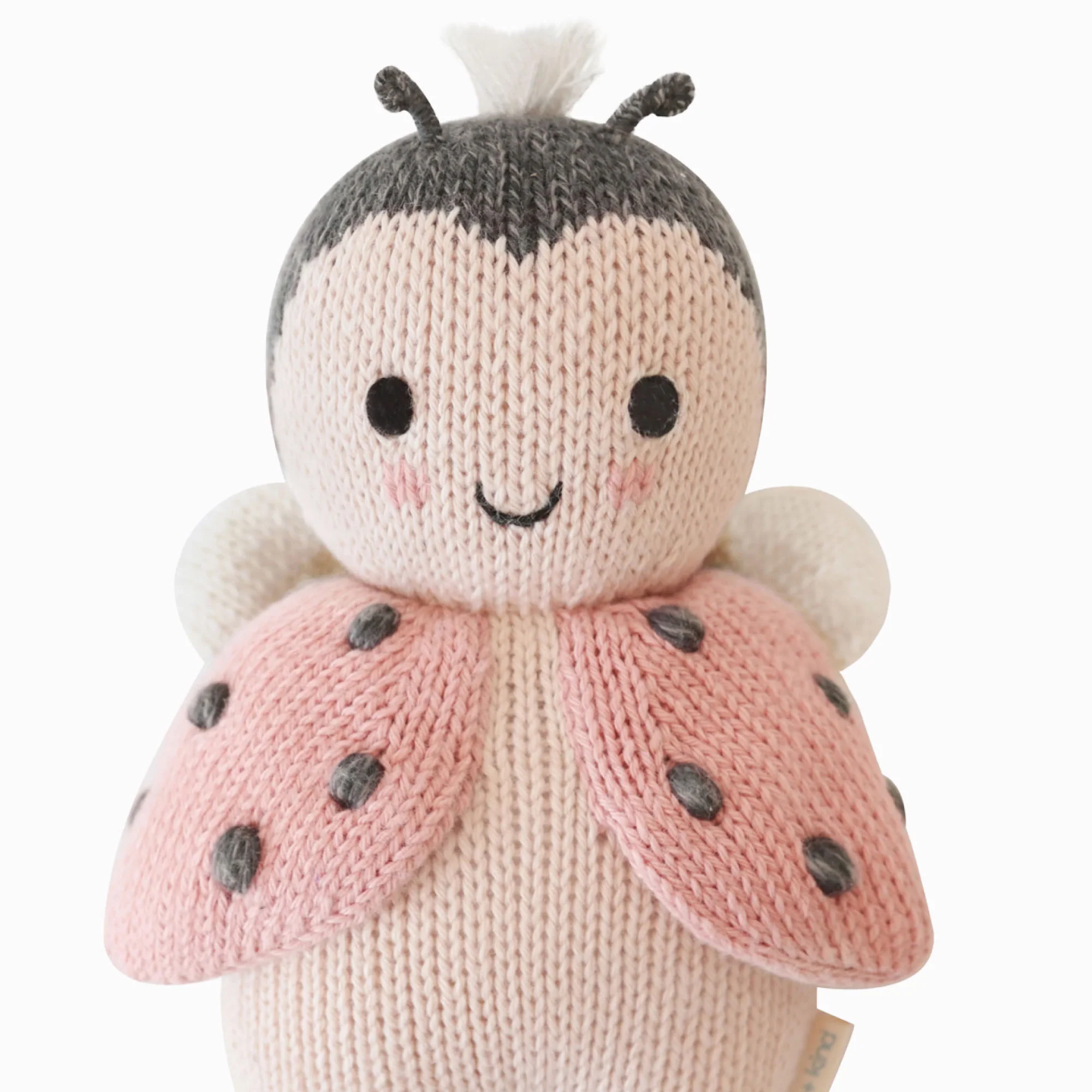 Baby Ladybug