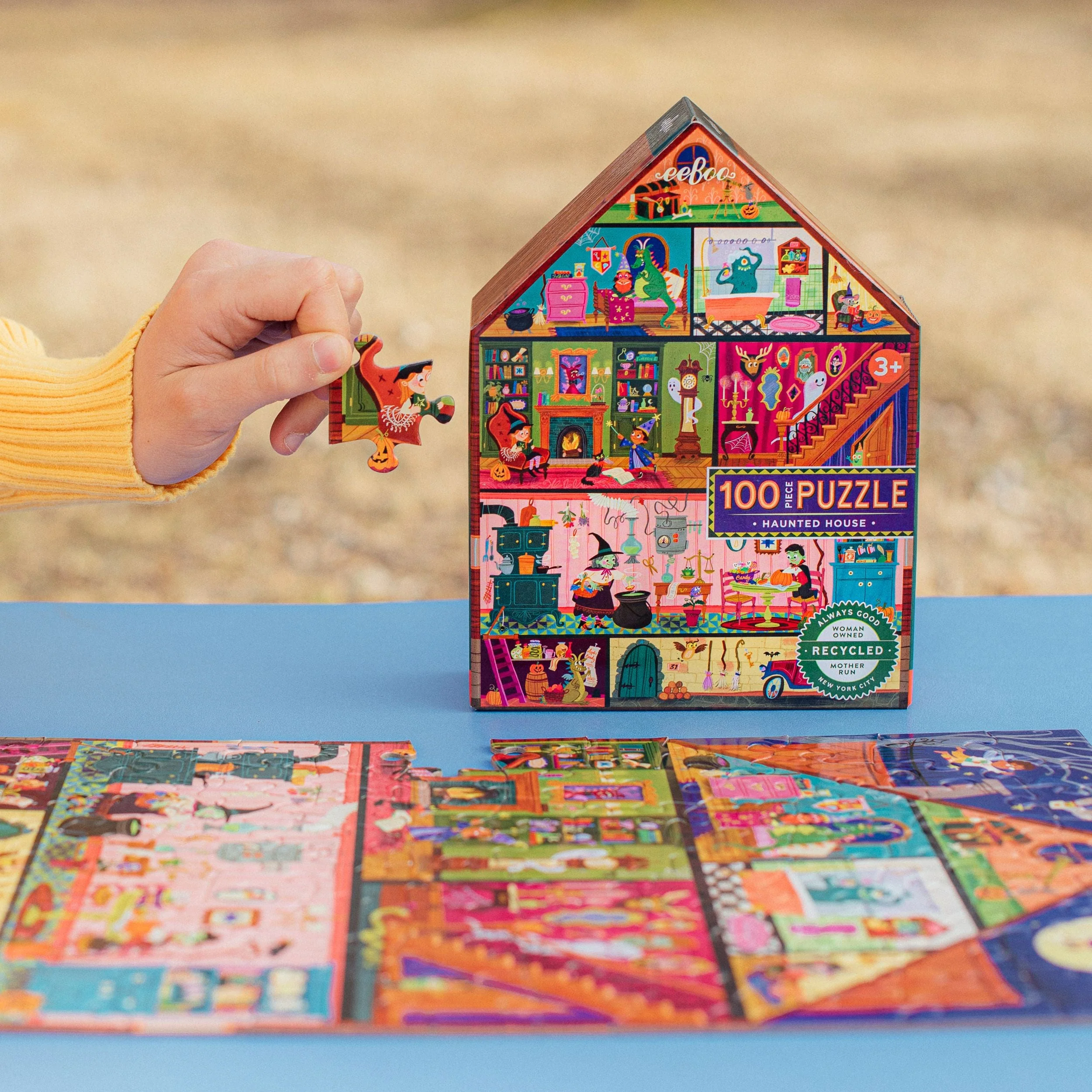 Haunted House Puzzle