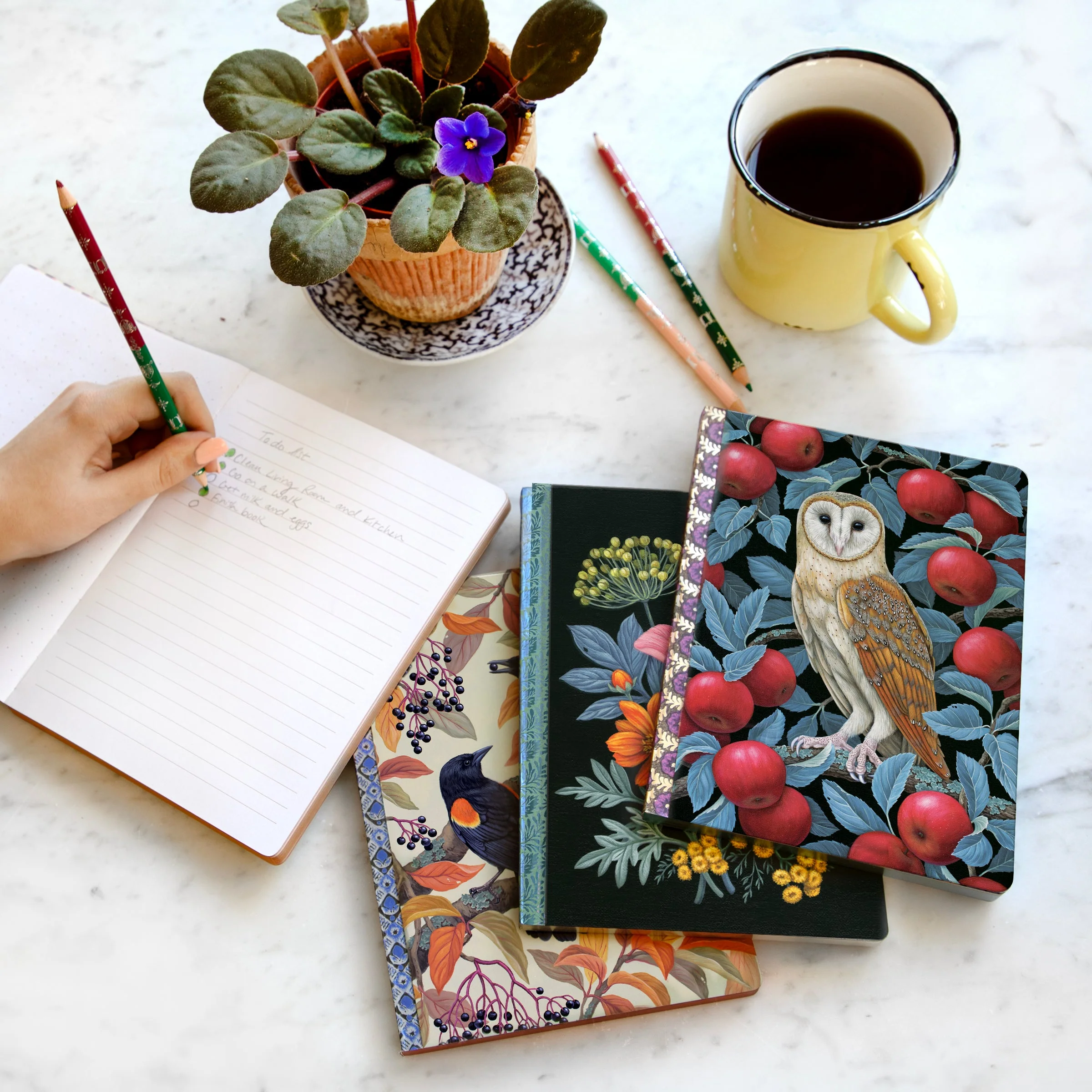 Autumn Blackbirds Journal