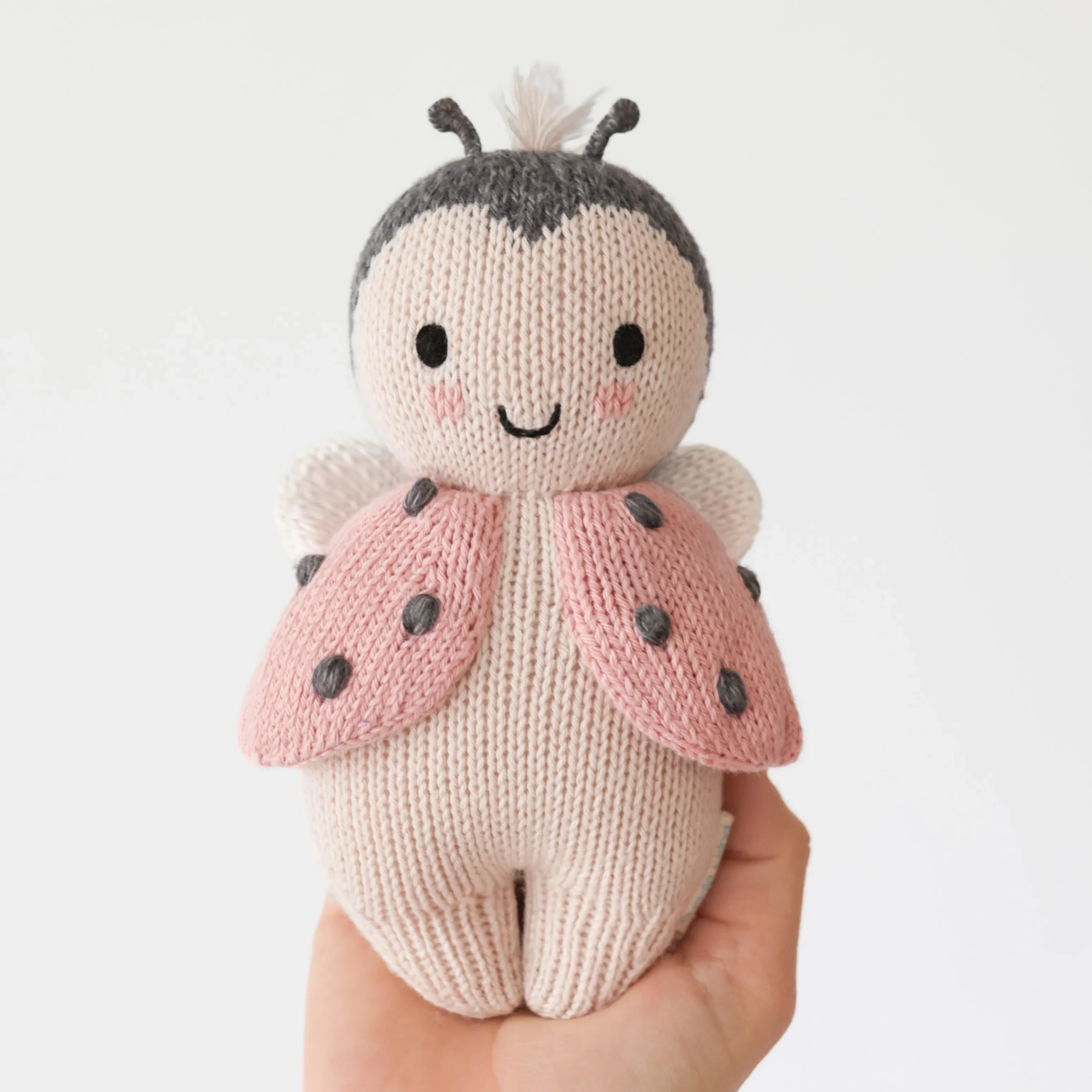 Baby Ladybug