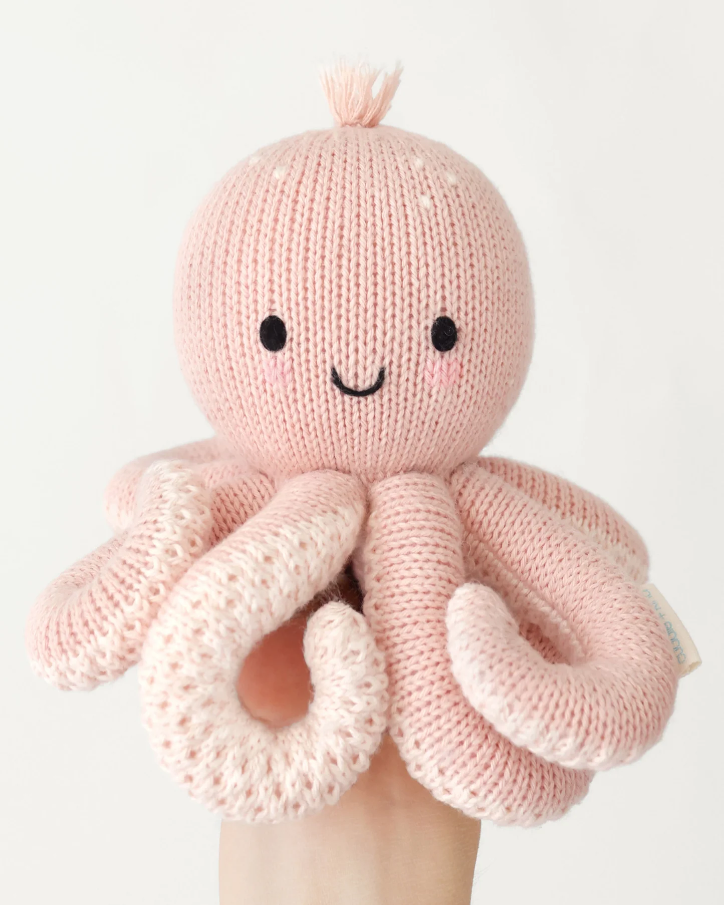 Baby Octopus