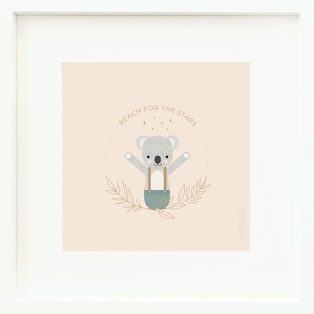 Quinn The Koala