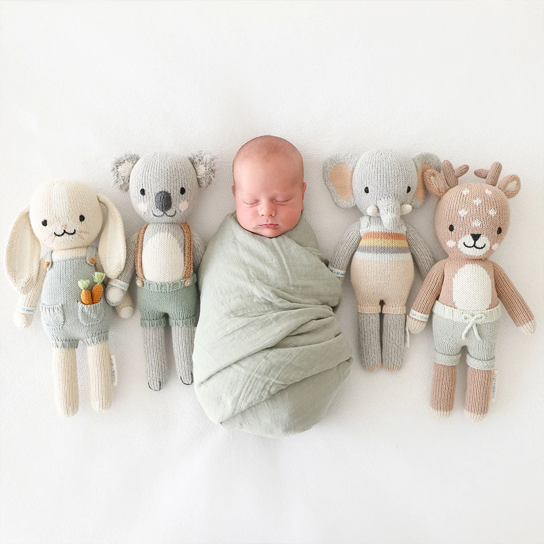 Quinn The Koala
