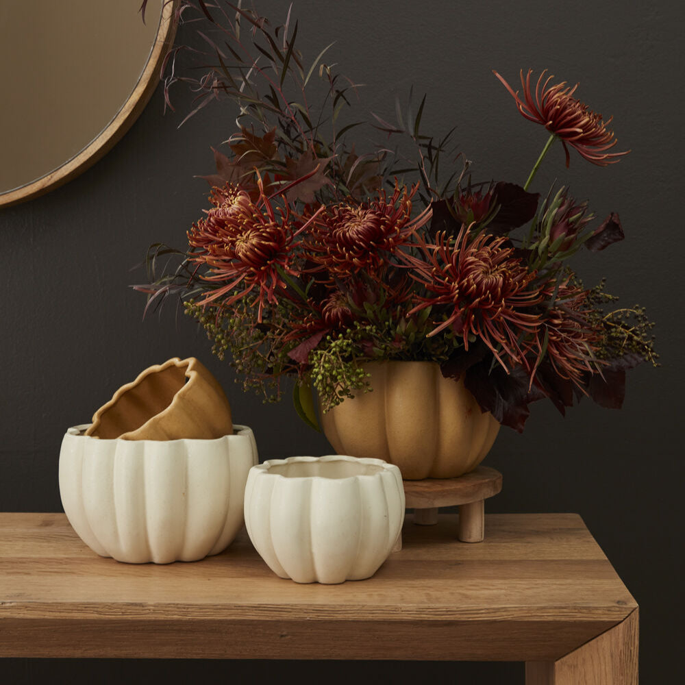 Decorative pumpkins with a floral arrangement on a wooden table against a dark background