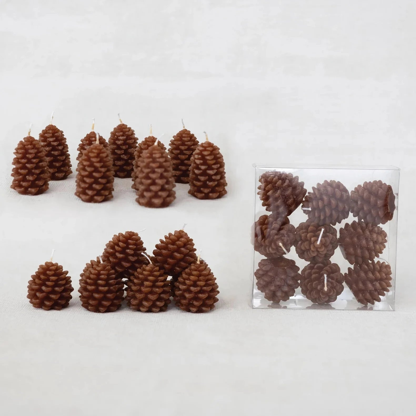Set of pine cones on a white background